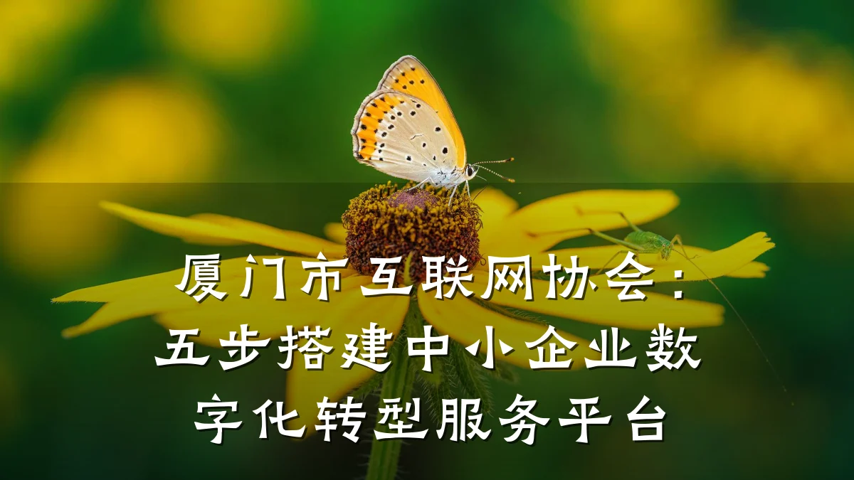厦门市互联网协会:五步搭建中小企业数字化转型服务平台