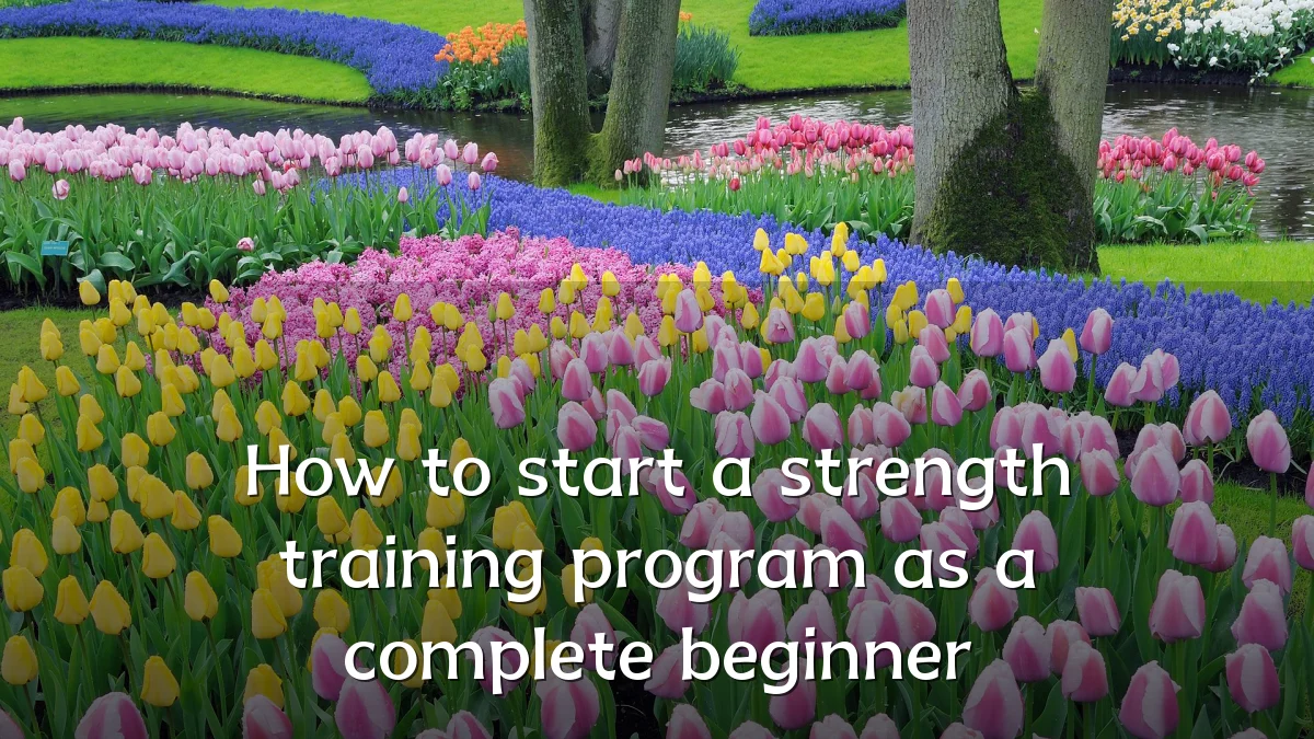How to start a strength training program as a complete beginner