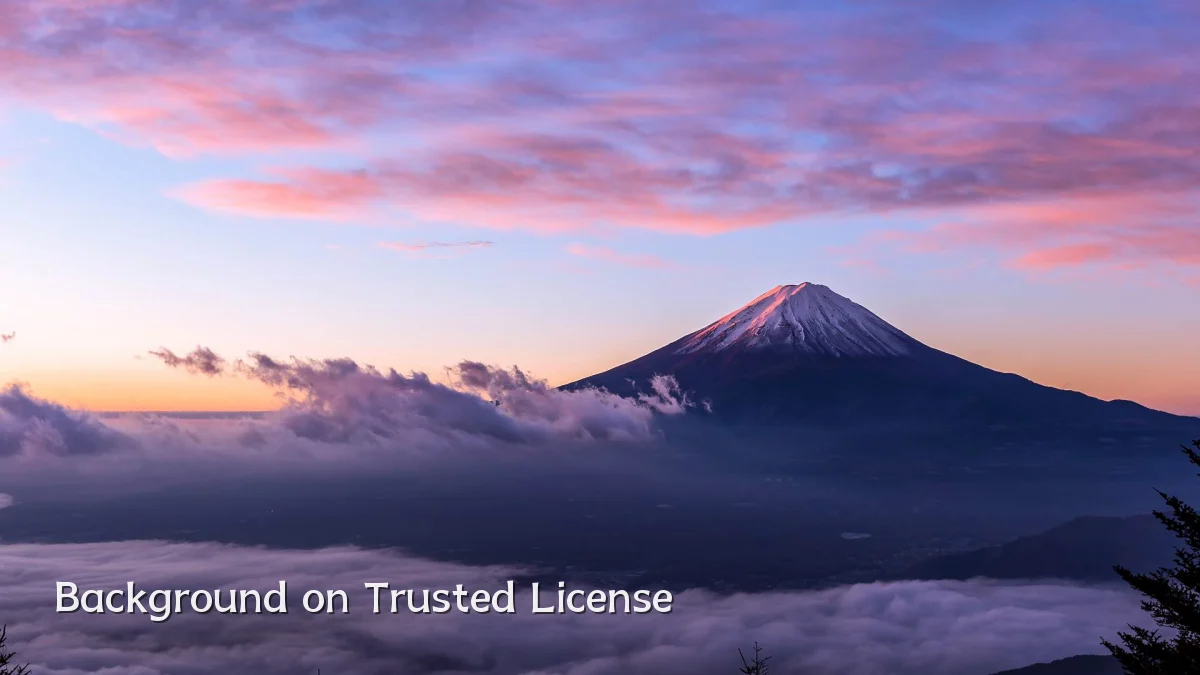 Background on Trusted License