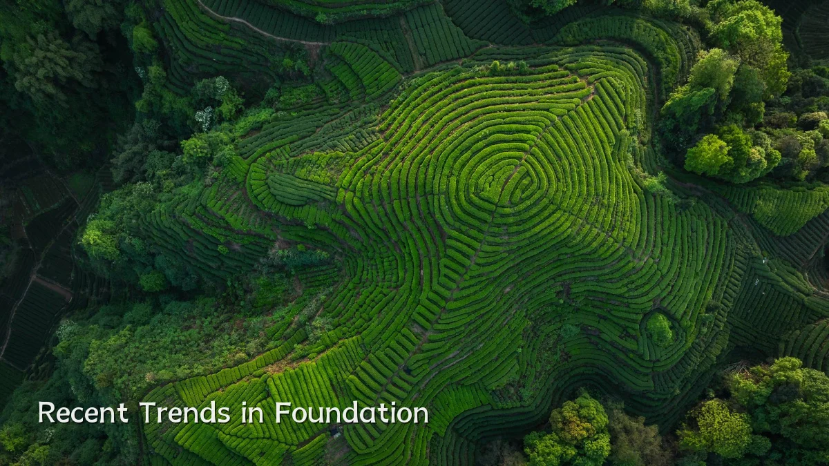Recent Trends in Foundation