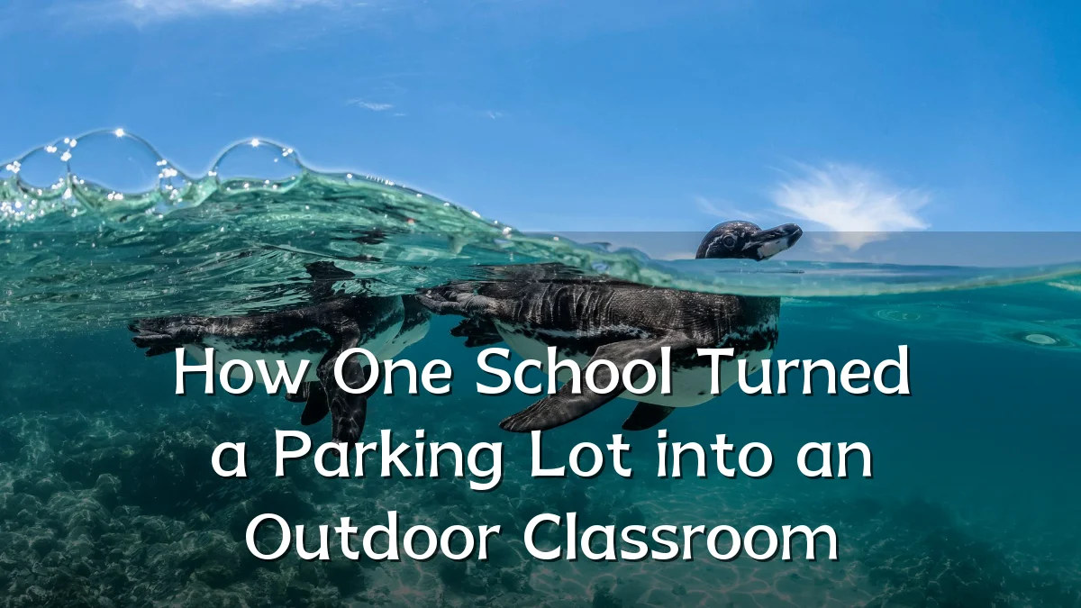 How One School Turned a Parking Lot into an Outdoor Classroom
