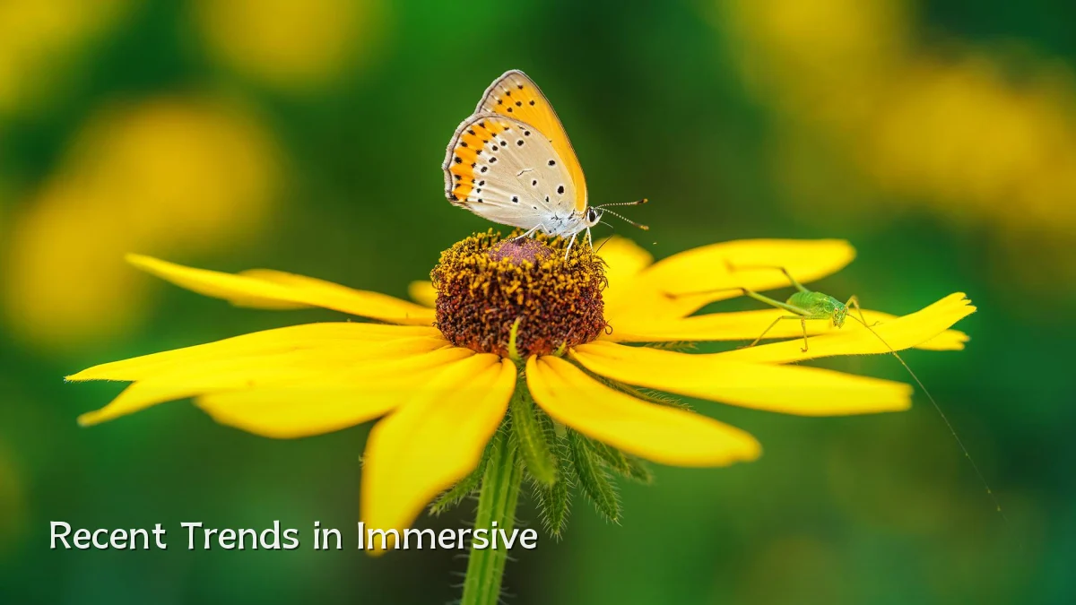 Recent Trends in Immersive