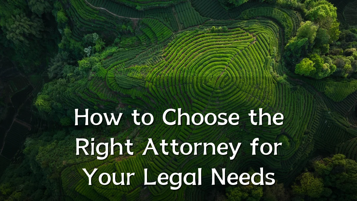 How to Choose the Right Attorney for Your Legal Needs
