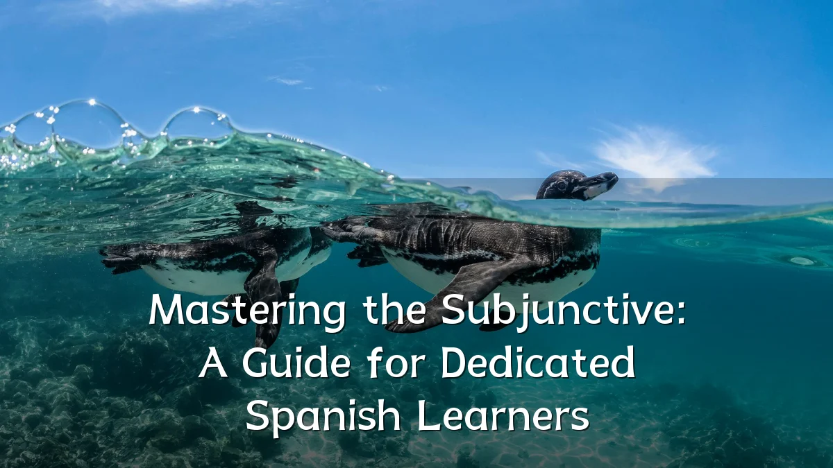 Mastering the Subjunctive: A Guide for Dedicated Spanish Learners