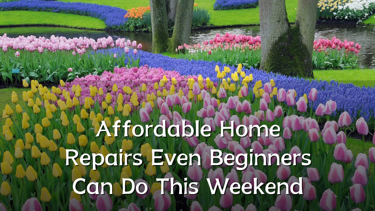 Affordable Home Repairs Even Beginners Can Do This Weekend