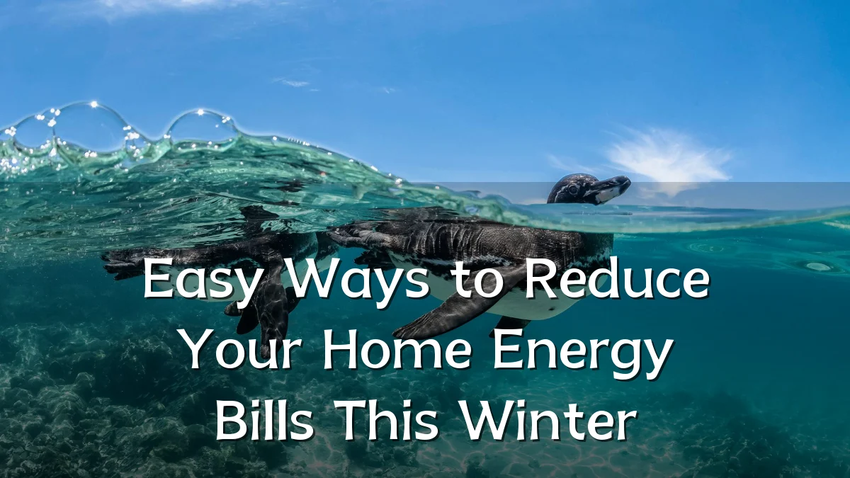 Easy Ways to Reduce Your Home Energy Bills This Winter