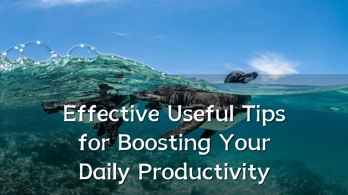 Effective Useful Tips for Boosting Your Daily Productivity