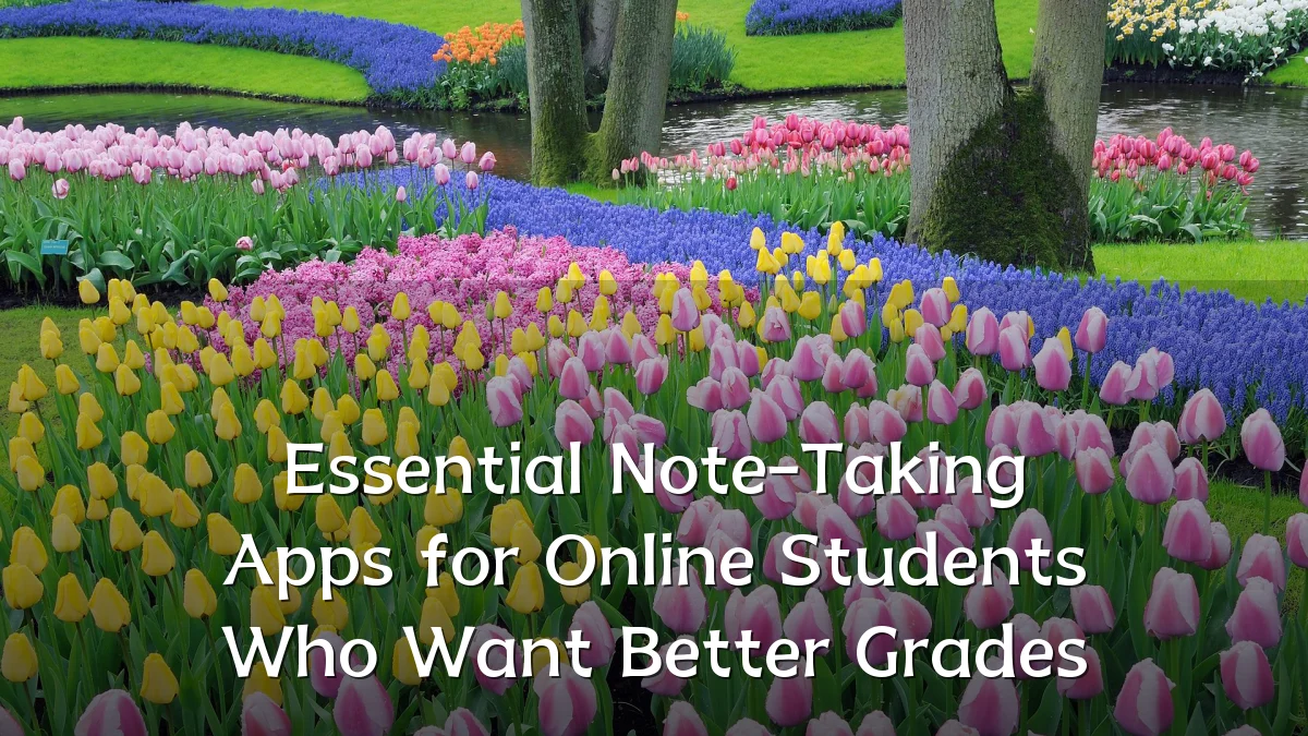 Essential Note-Taking Apps for Online Students Who Want Better Grades