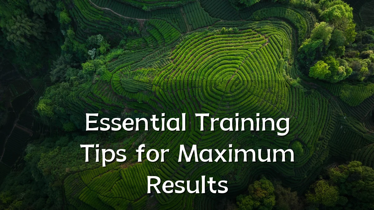 Essential Training Tips for Maximum Results