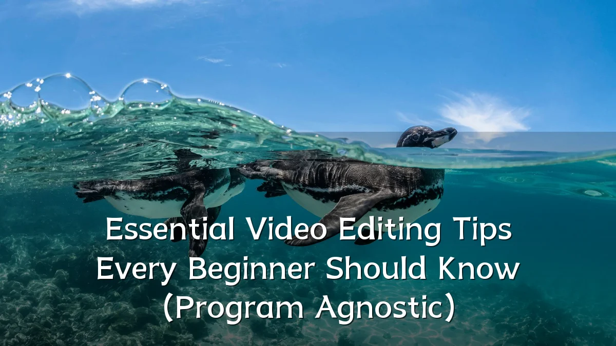 Essential Video Editing Tips Every Beginner Should Know (Program Agnostic)