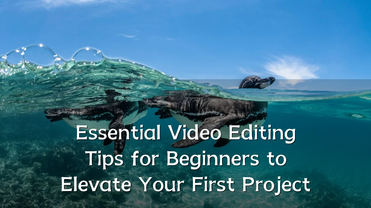 Essential Video Editing Tips for Beginners to Elevate Your First Project