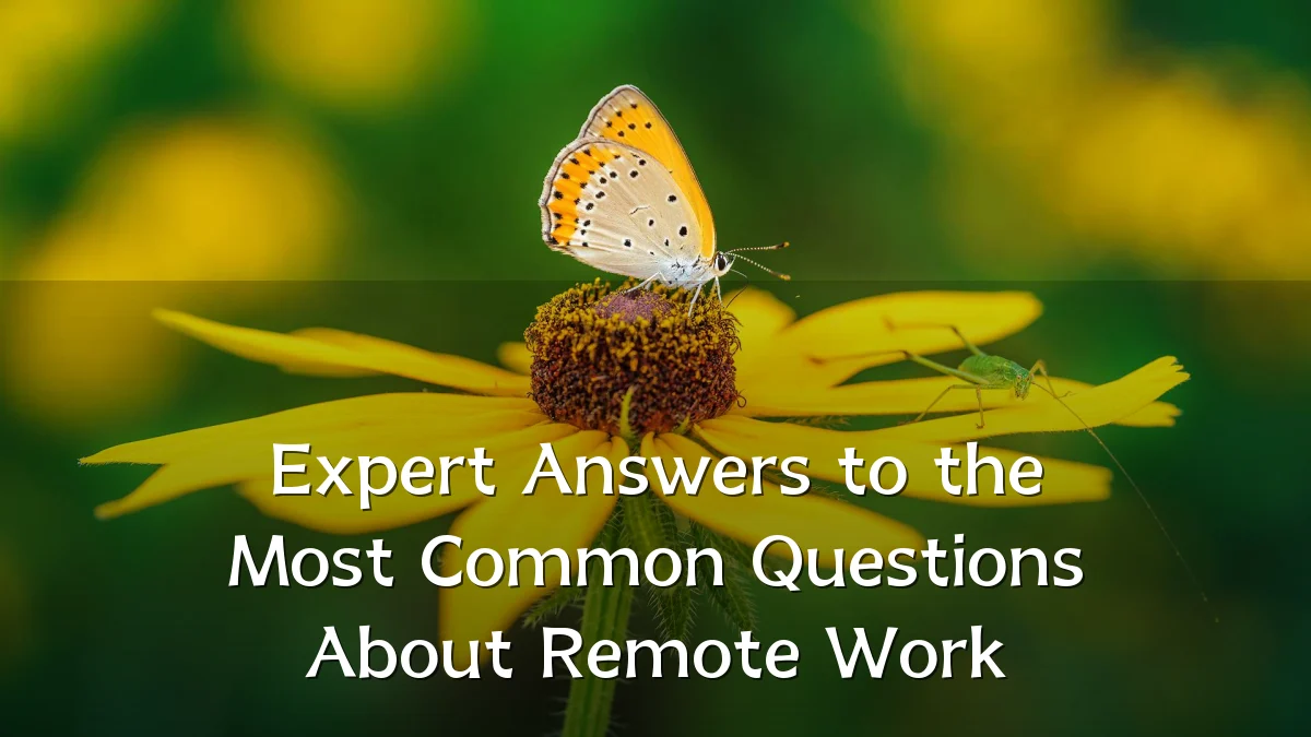 Expert Answers to the Most Common Questions About Remote Work