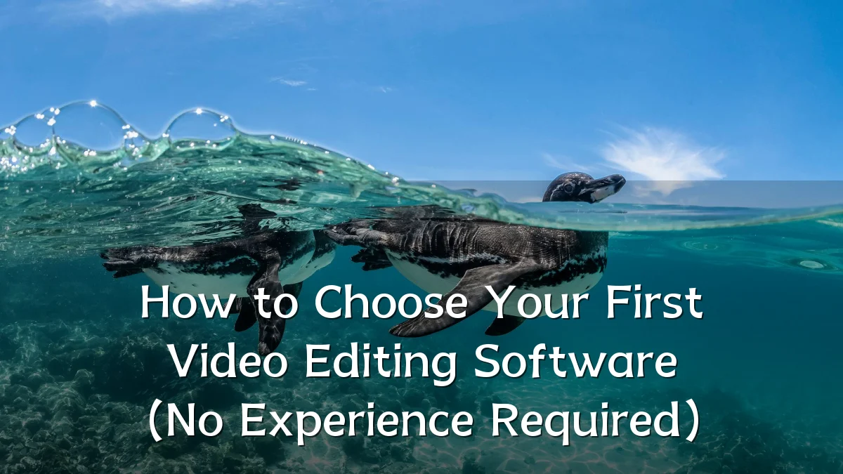 How to Choose Your First Video Editing Software (No Experience Required)