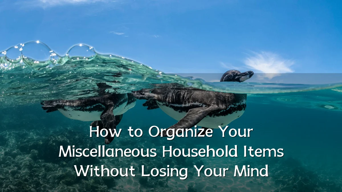 How to Organize Your Miscellaneous Household Items Without Losing Your Mind