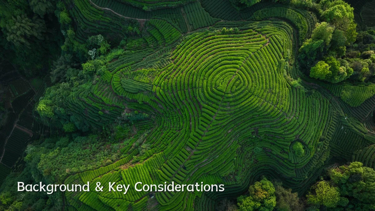 Background & Key Considerations