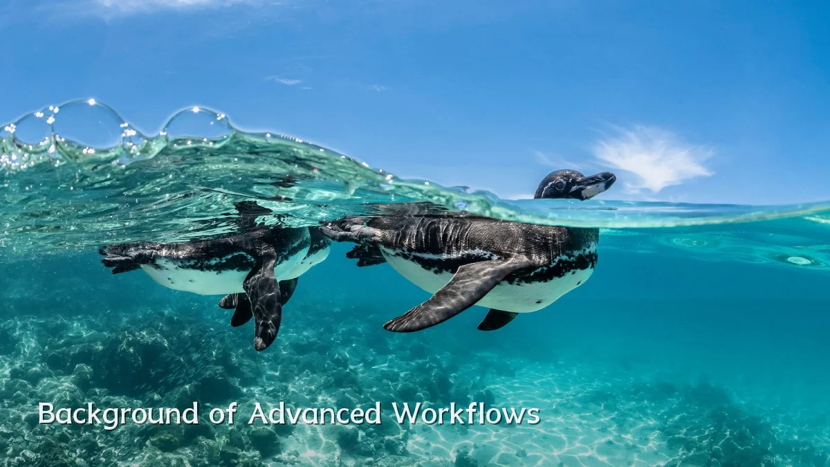 Background of Advanced Workflows