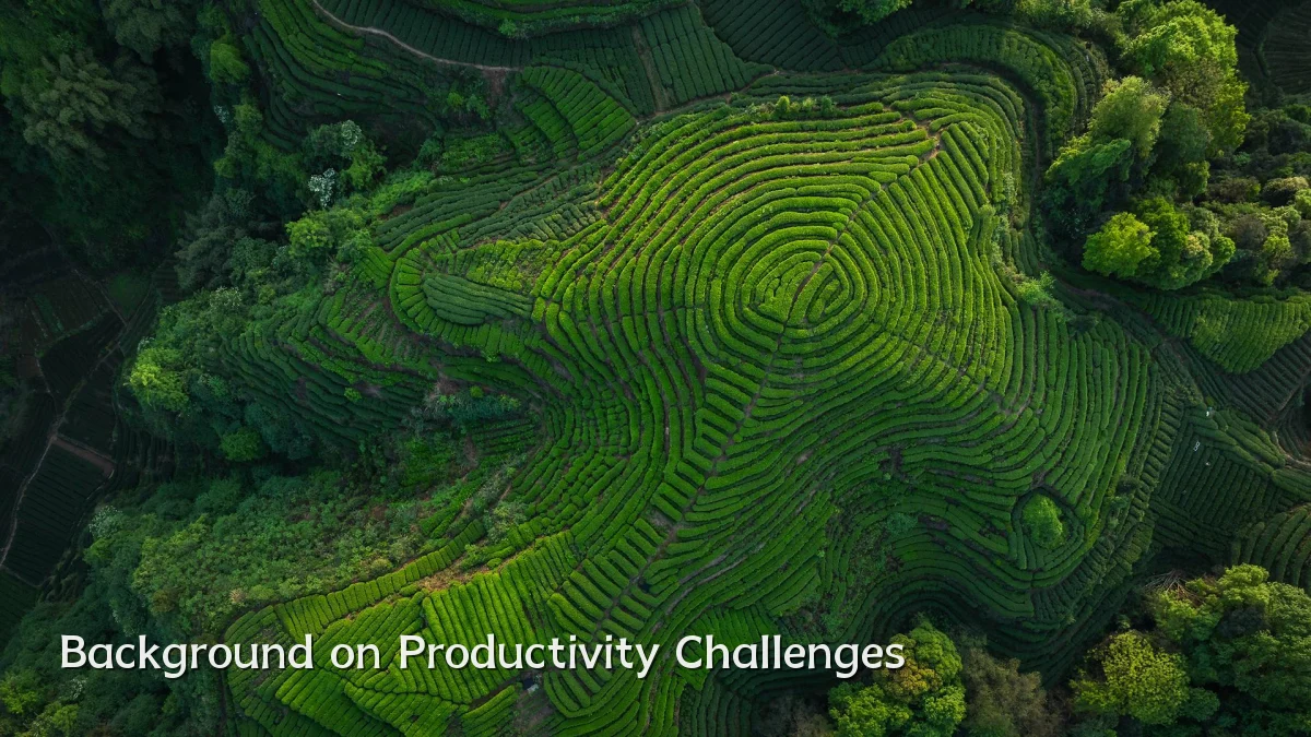 Background on Productivity Challenges