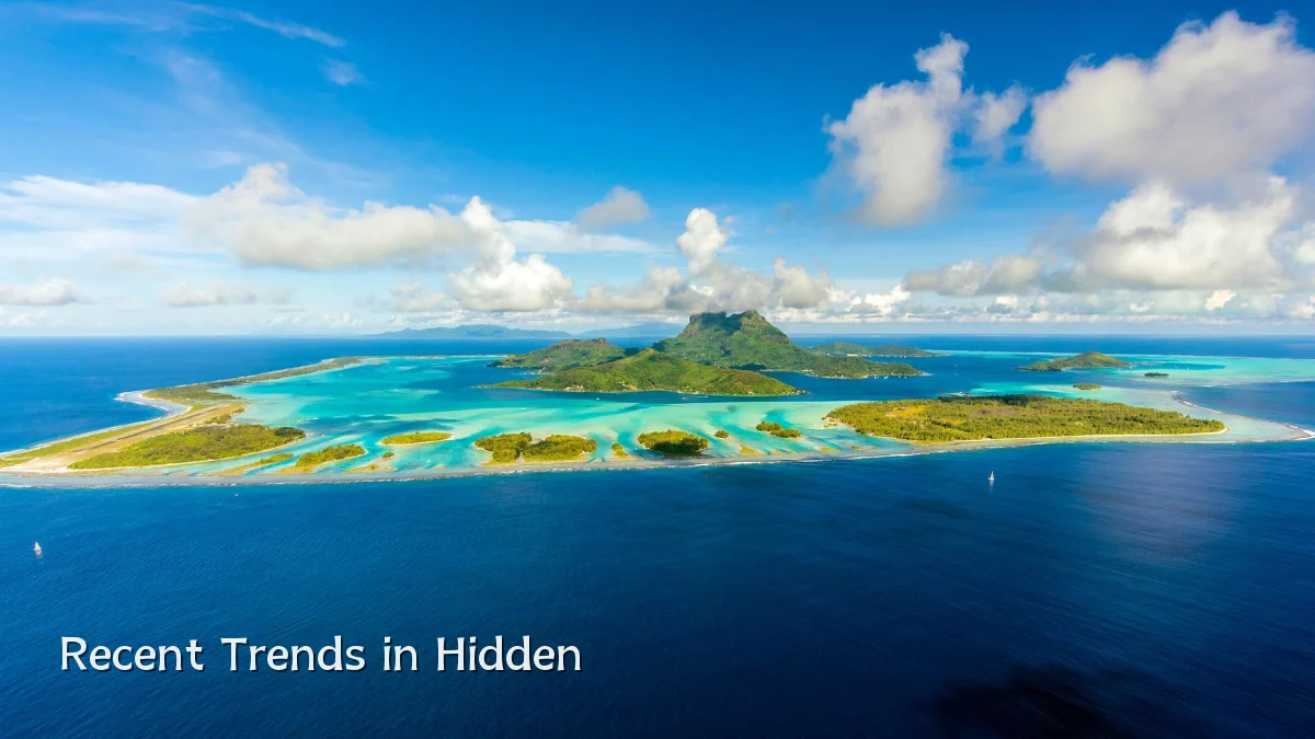 Recent Trends in Hidden