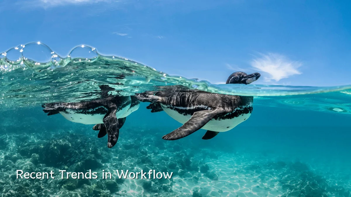 Recent Trends in Workflow
