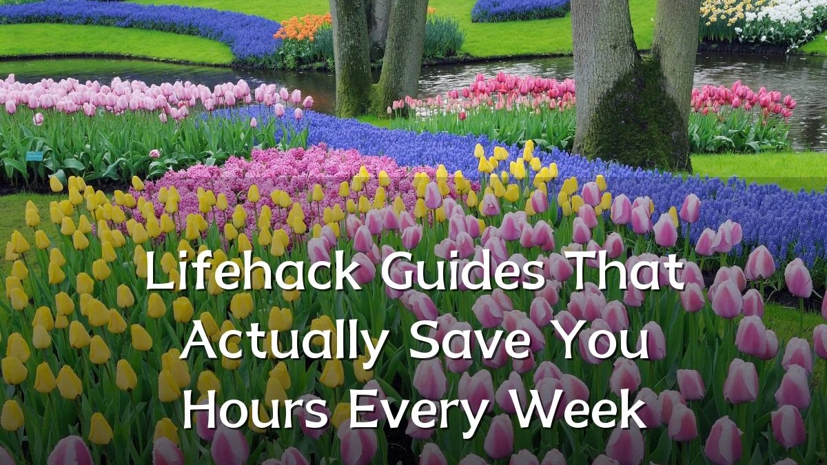 Lifehack Guides That Actually Save You Hours Every Week