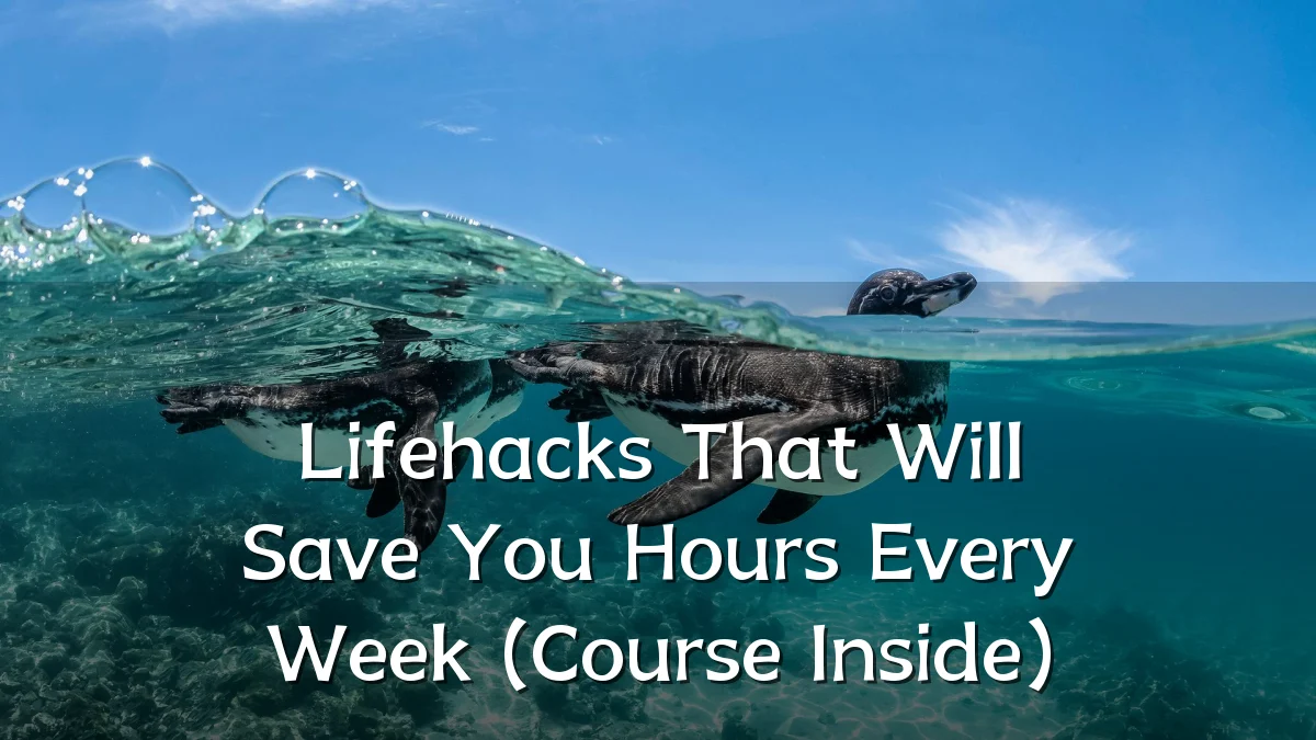 Lifehacks That Will Save You Hours Every Week (Course Inside)