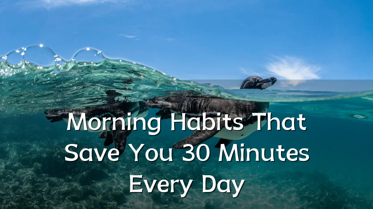 Morning Habits That Save You 30 Minutes Every Day