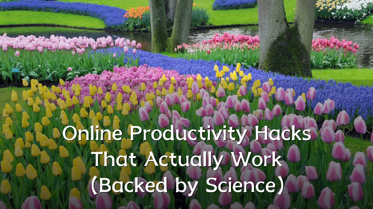 Online Productivity Hacks That Actually Work (Backed by Science)