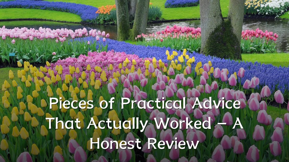 Pieces of Practical Advice That Actually Worked – A Honest Review