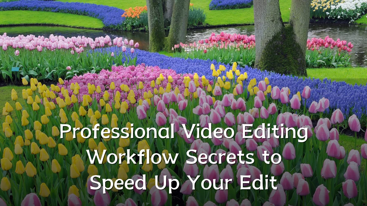 Professional Video Editing Workflow Secrets to Speed Up Your Edit
