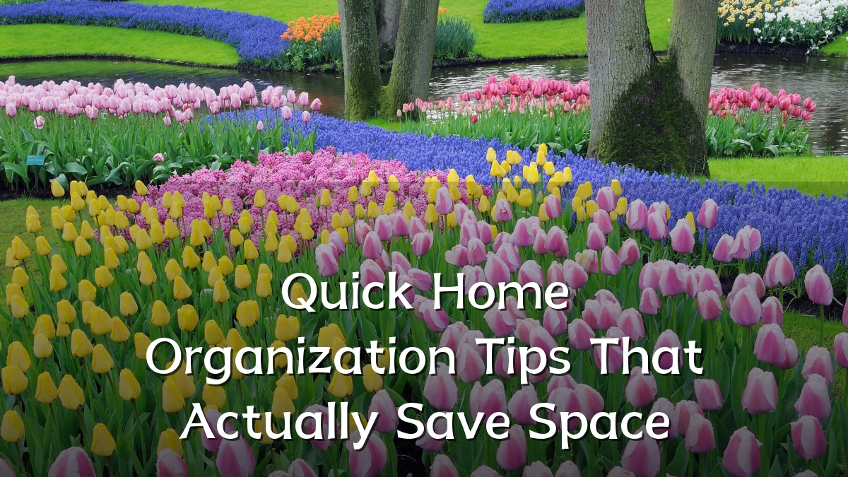 Quick Home Organization Tips That Actually Save Space