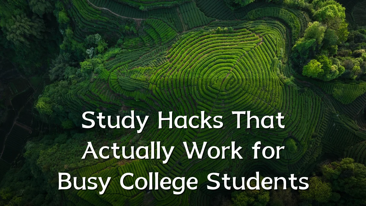Study Hacks That Actually Work for Busy College Students