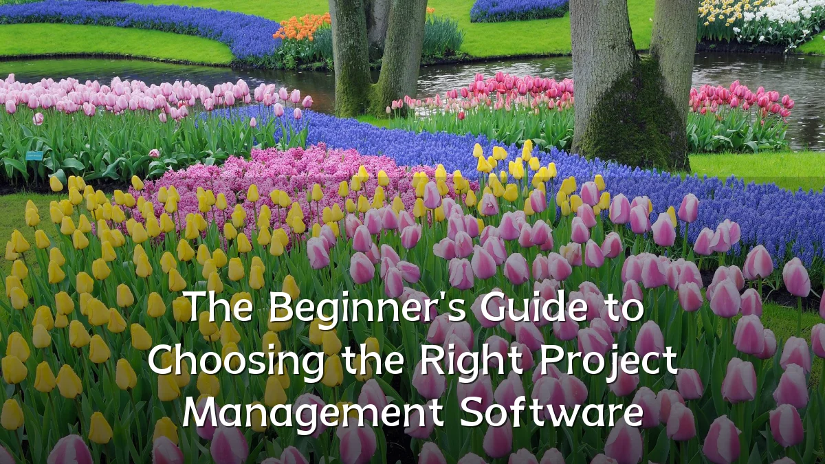 The Beginner's Guide to Choosing the Right Project Management Software