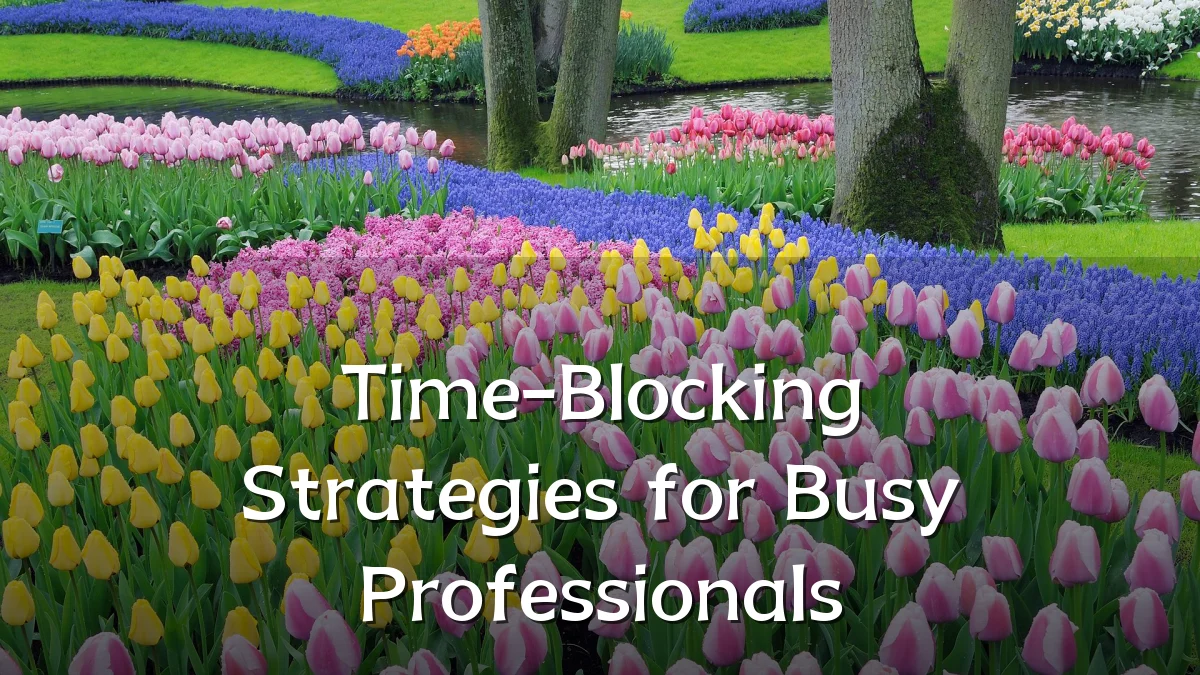Time-Blocking Strategies for Busy Professionals