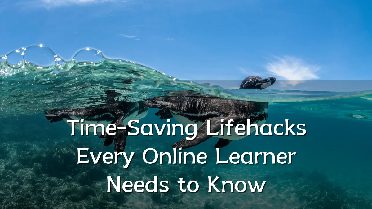 Time-Saving Lifehacks Every Online Learner Needs to Know