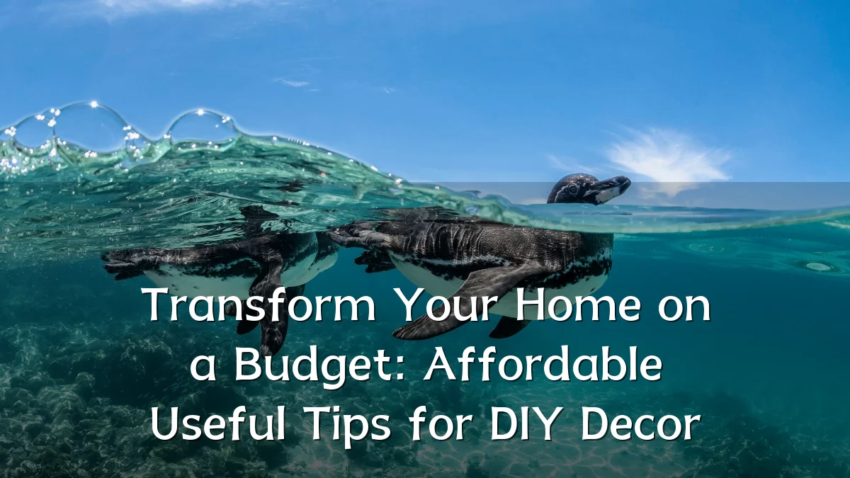 Transform Your Home on a Budget: Affordable Useful Tips for DIY Decor