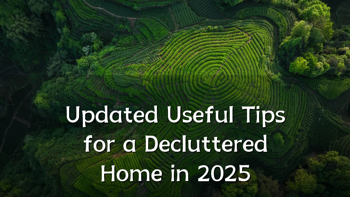 Updated Useful Tips for a Decluttered Home in 2025