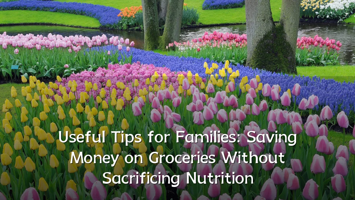 Useful Tips for Families: Saving Money on Groceries Without Sacrificing Nutrition