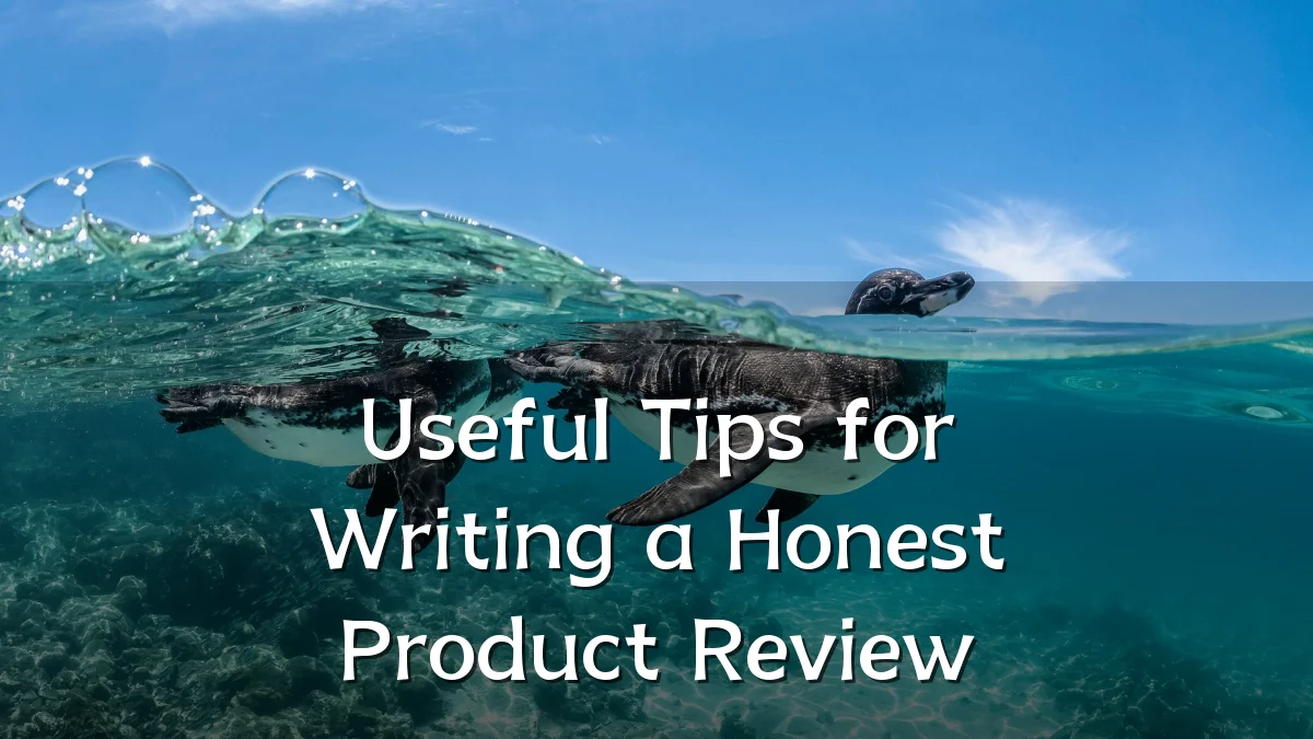 Useful Tips for Writing a Honest Product Review