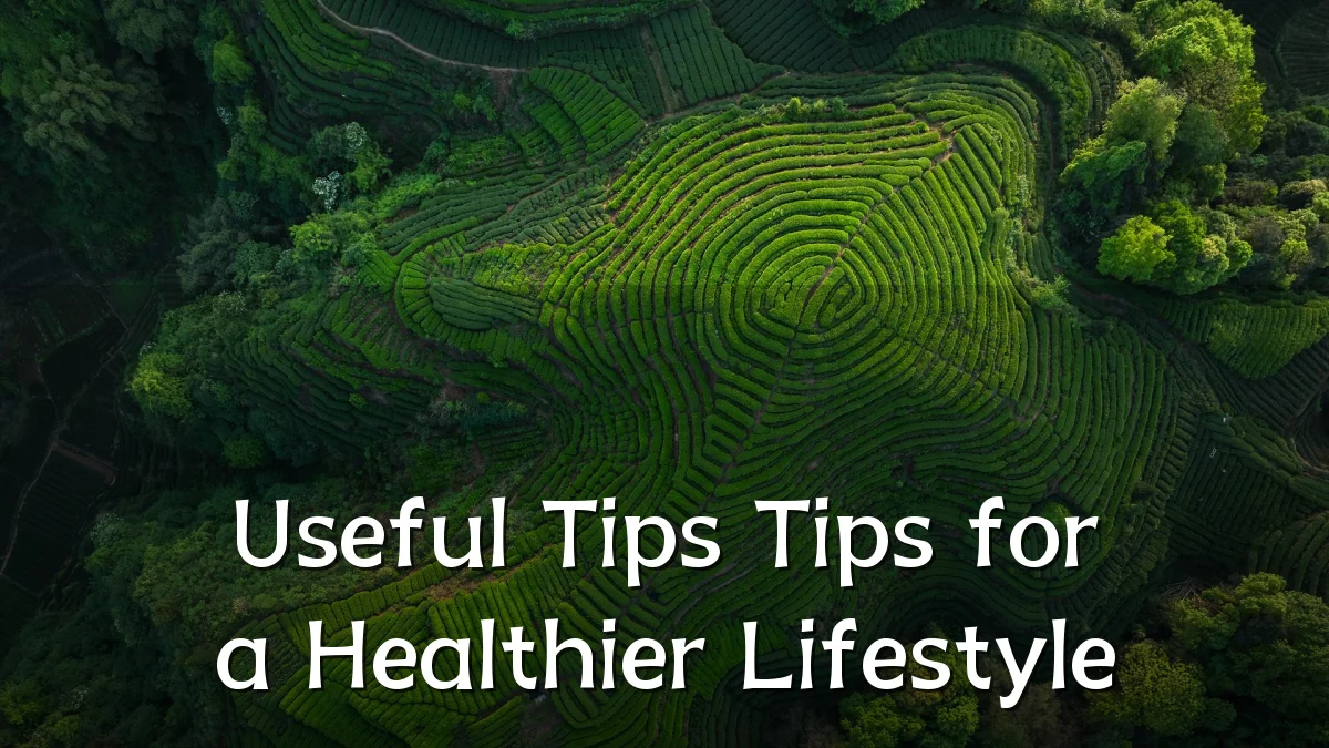 Useful Tips Tips for a Healthier Lifestyle
