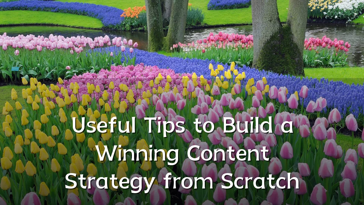 Useful Tips to Build a Winning Content Strategy from Scratch