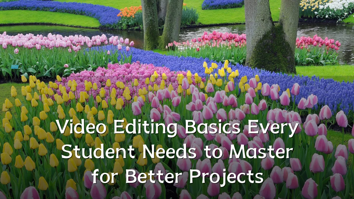Video Editing Basics Every Student Needs to Master for Better Projects