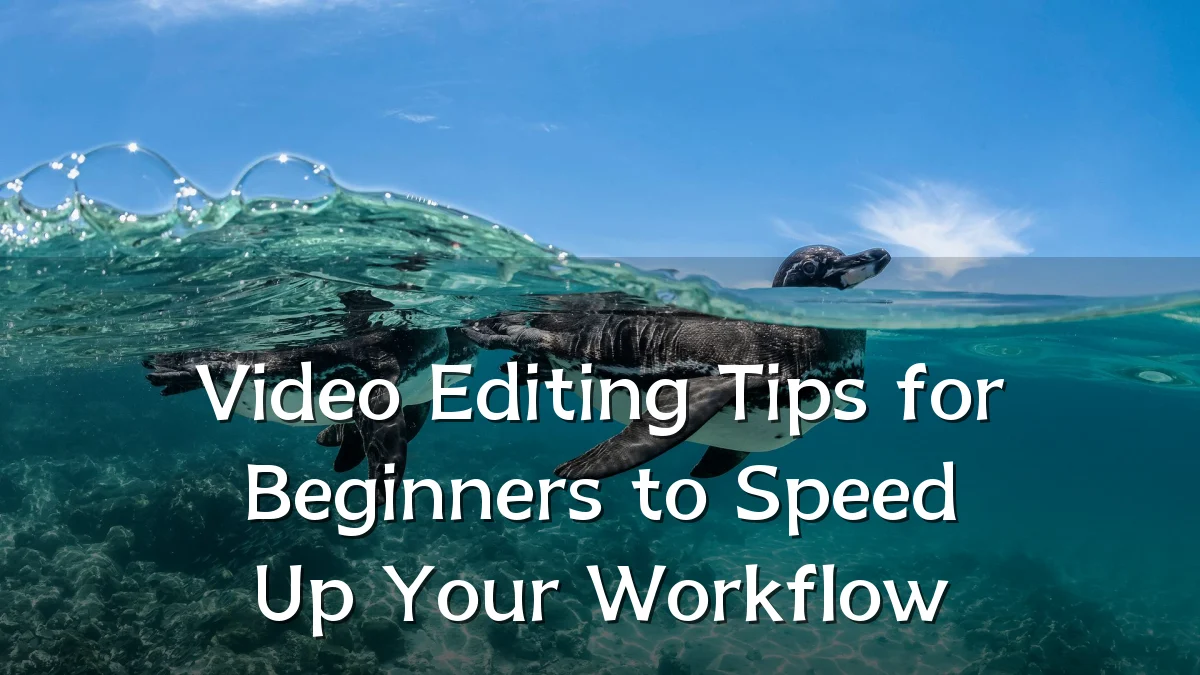 Video Editing Tips for Beginners to Speed Up Your Workflow